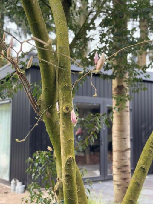 Veluwe Boutique Lodge Putten Luaran gambar