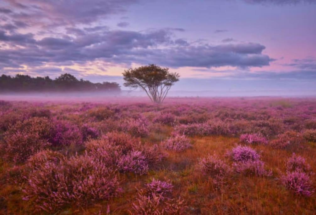 Veluwe Boutique Lodge Putten Luaran gambar